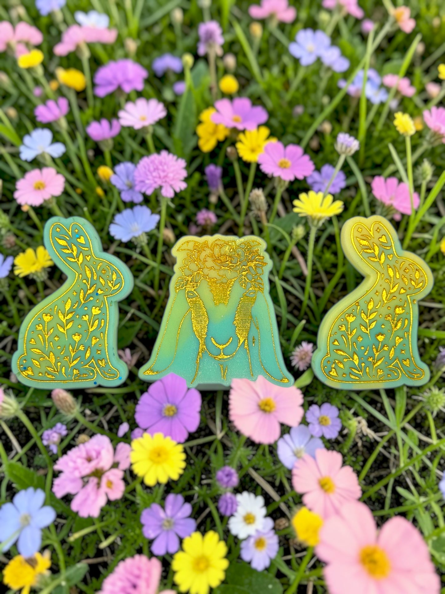 Magic Meadows